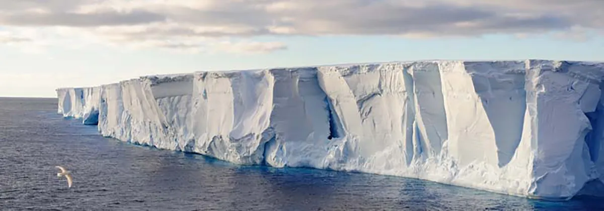 domedagsglaciären