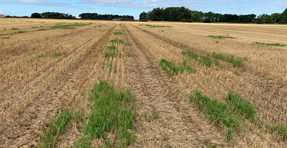 Fördelar med att använda glyfosat