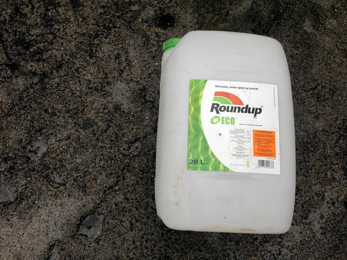 glyfosat