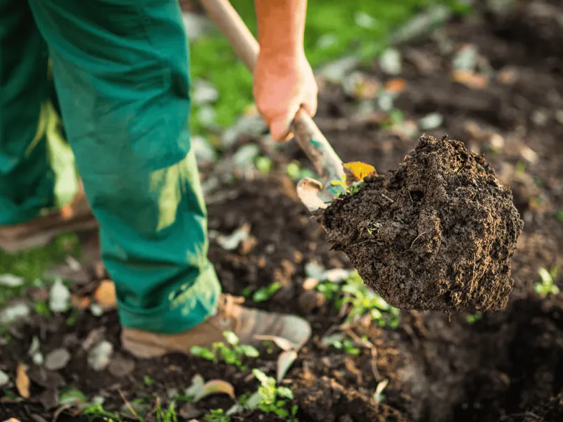 Jord och kompost 
