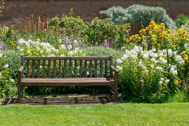 Hur du skapar en trädgård som gynnar biologisk mångfald