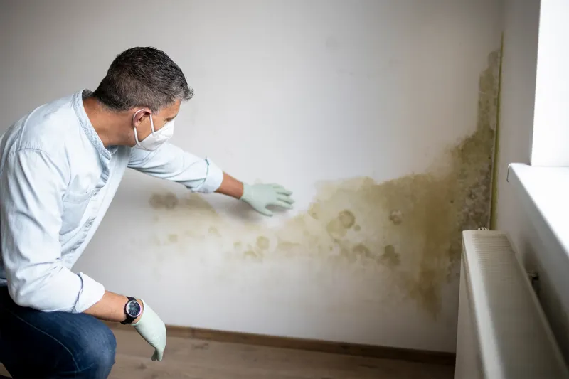 Dränering runt huset och kopplingen till mögel